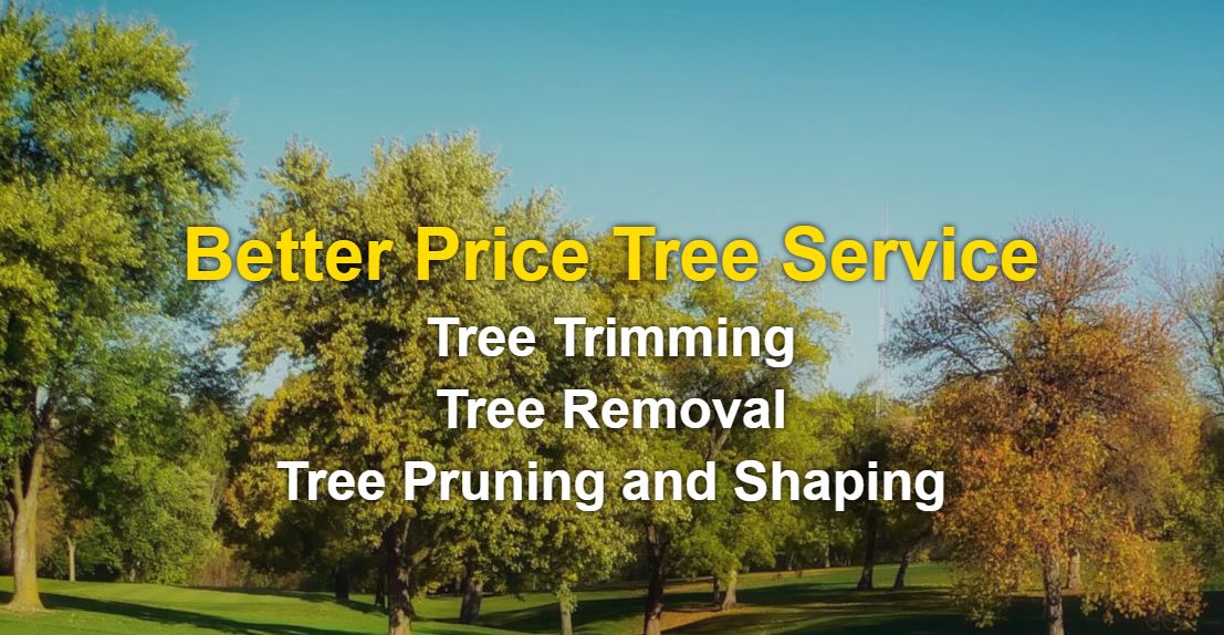 affordable tree trimming austin
